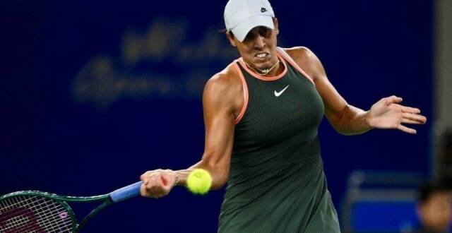 提供了新的 提供了新的